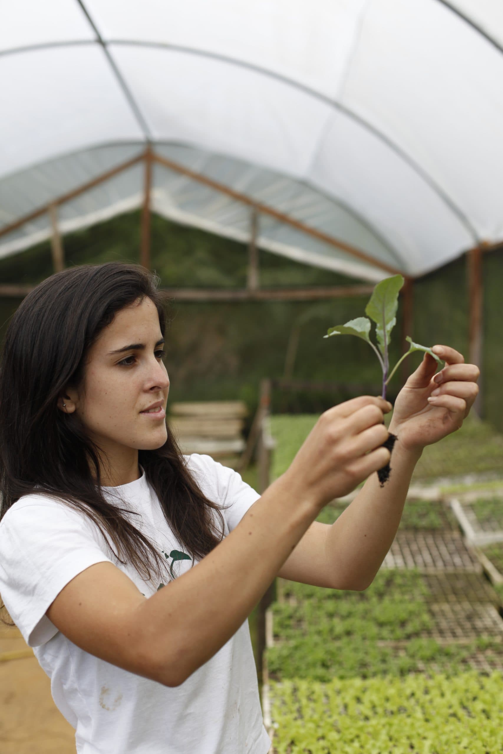 Jovem segurando uma muda em uma plantação